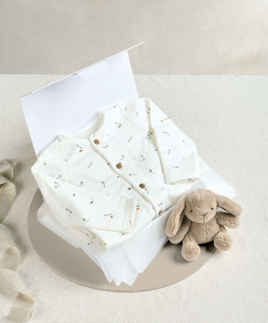 مجموعة هدايا لباس قطعة واحدة بنقشة طائرة ورقية ولعبة بتصميم أرنب صغير، قطعتين image number 1